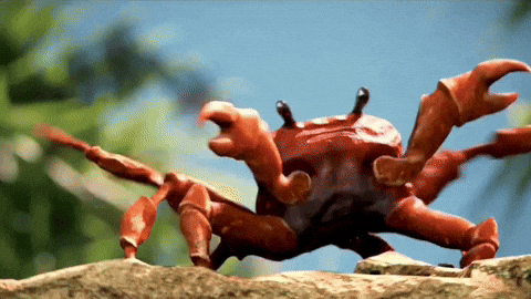 Dancing Crab